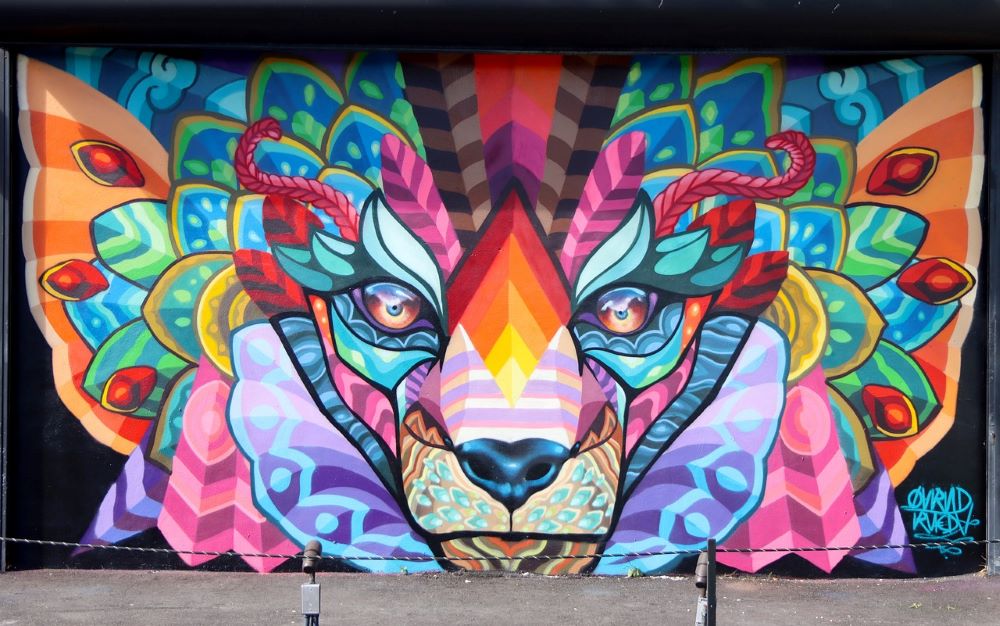 Vinvudas grafiti